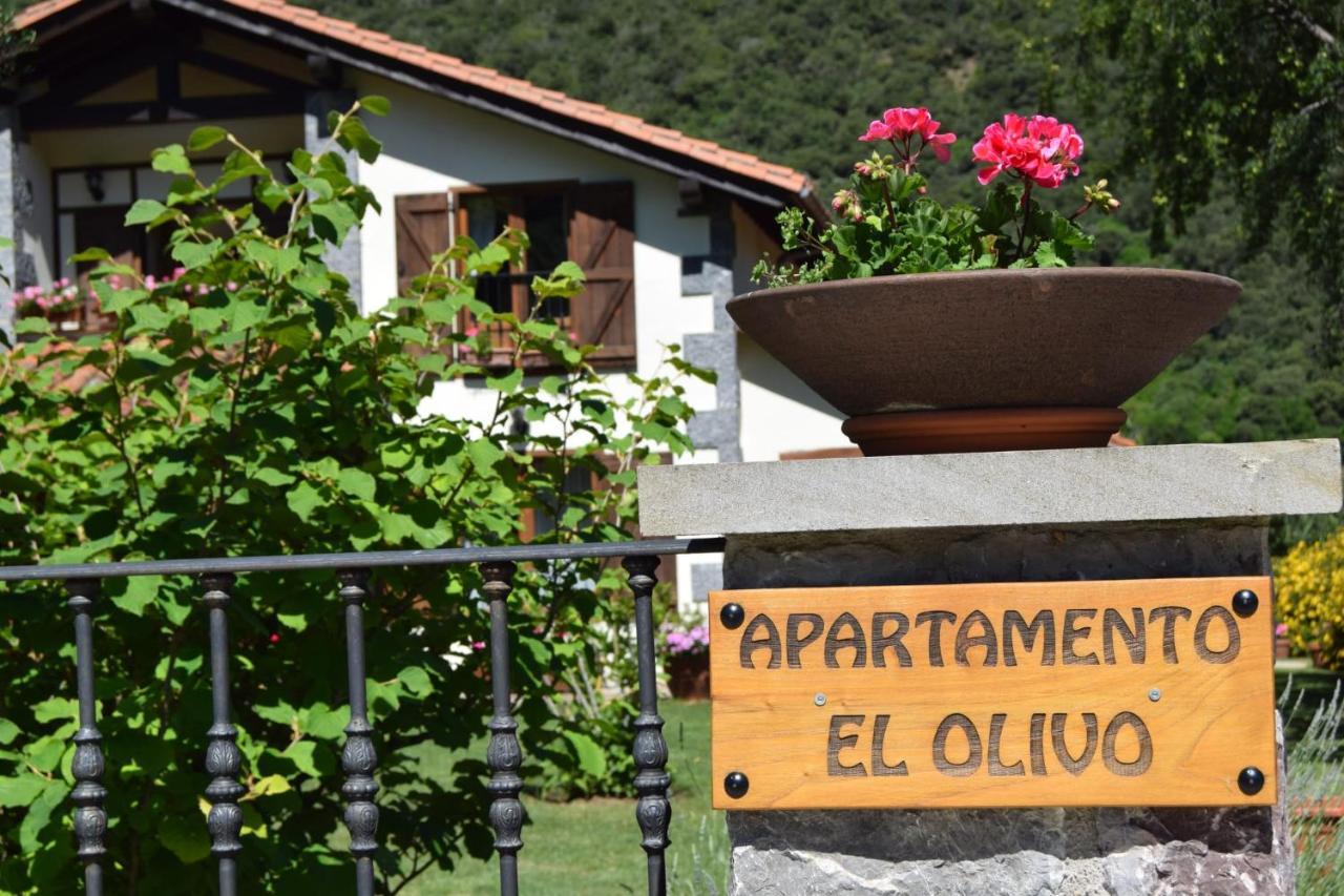 Excepcional Apartamento El Olivo Ojedo Luaran gambar