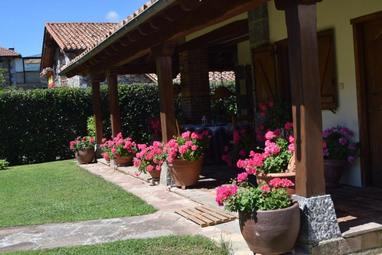 Excepcional Apartamento El Olivo Ojedo Luaran gambar