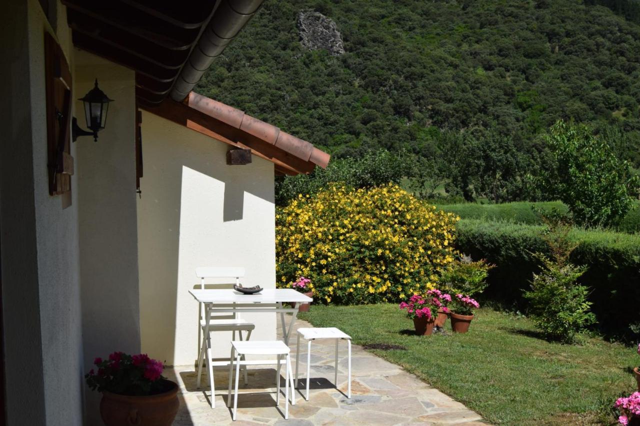Excepcional Apartamento El Olivo Ojedo Luaran gambar
