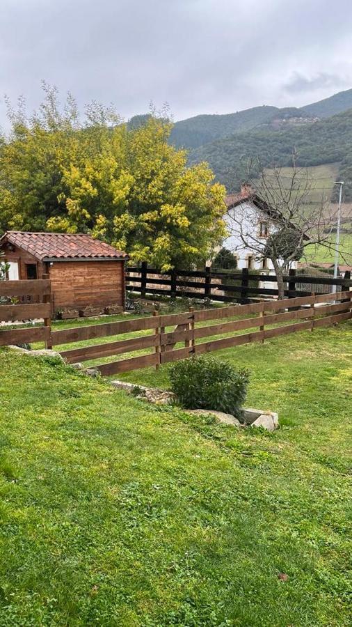 Excepcional Apartamento El Olivo Ojedo Luaran gambar