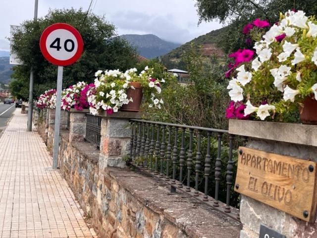 Excepcional Apartamento El Olivo Ojedo Luaran gambar