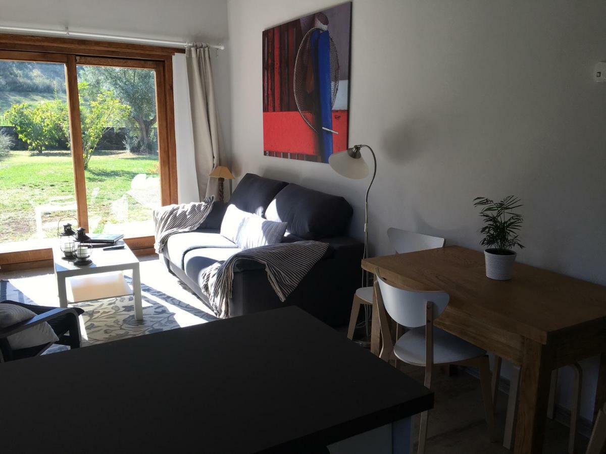 Excepcional Apartamento El Olivo Ojedo Luaran gambar