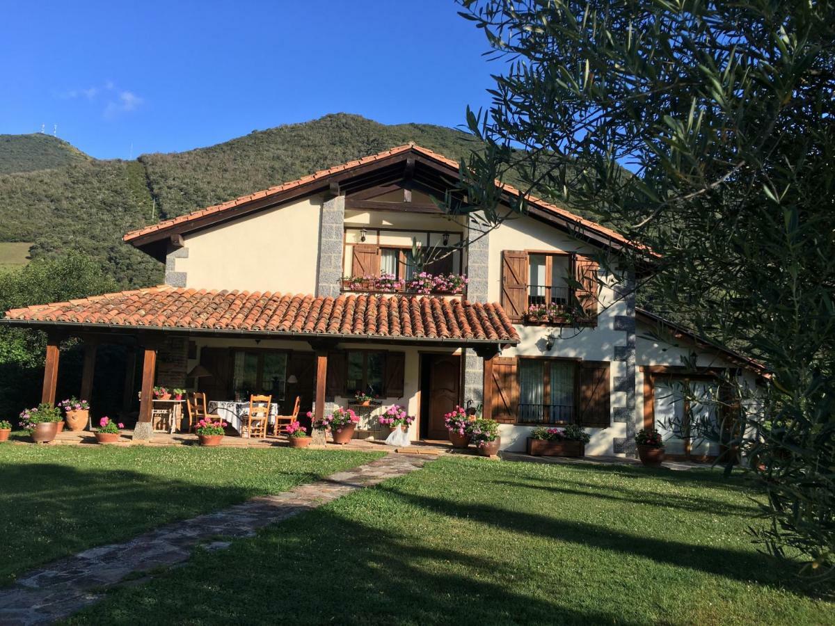 Excepcional Apartamento El Olivo Ojedo Luaran gambar